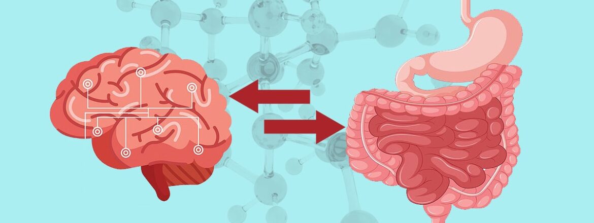 Solutions Rx Gut-Brain Connection